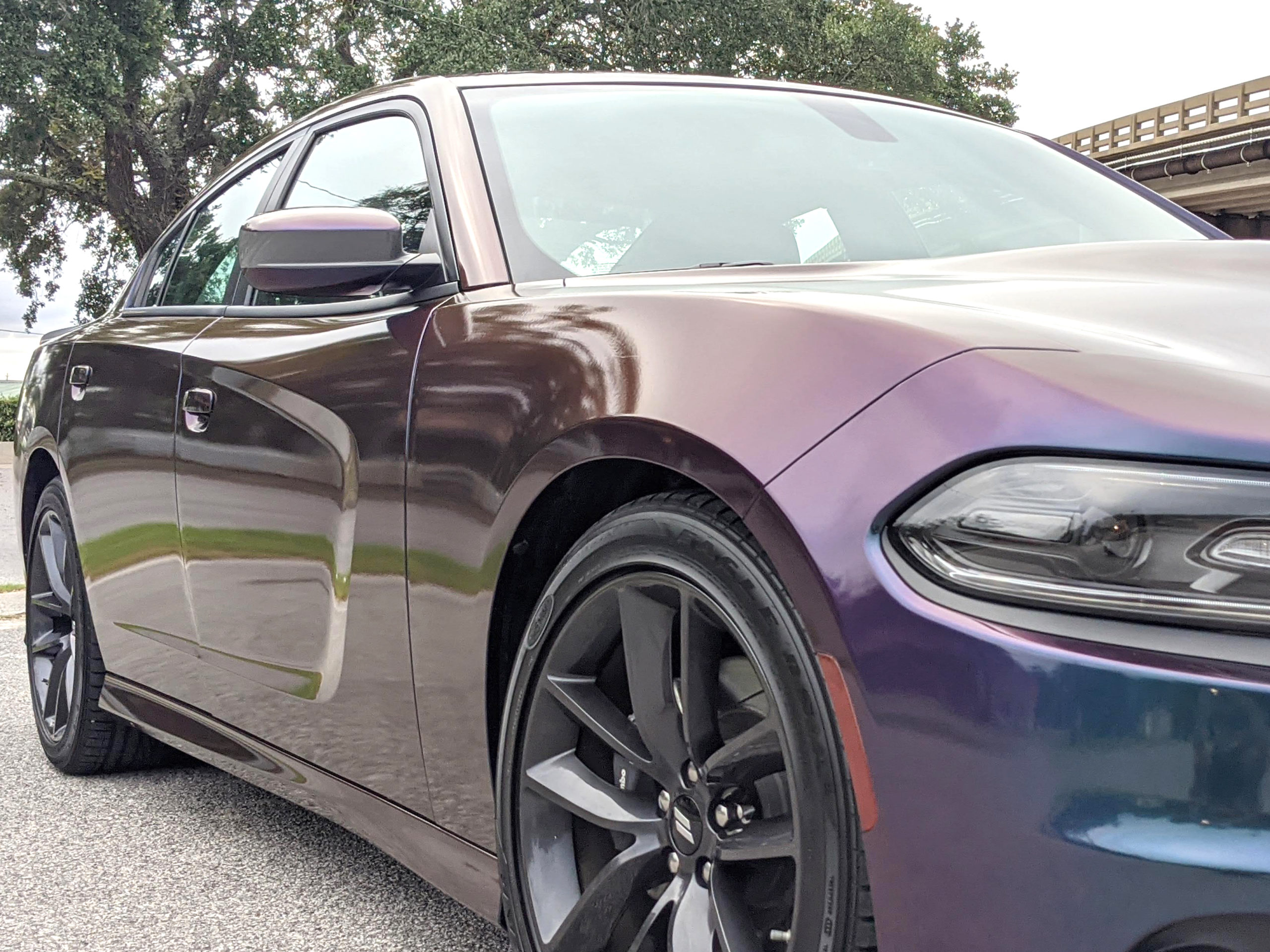 Dodge Charger with Full Color Change | Fried Color